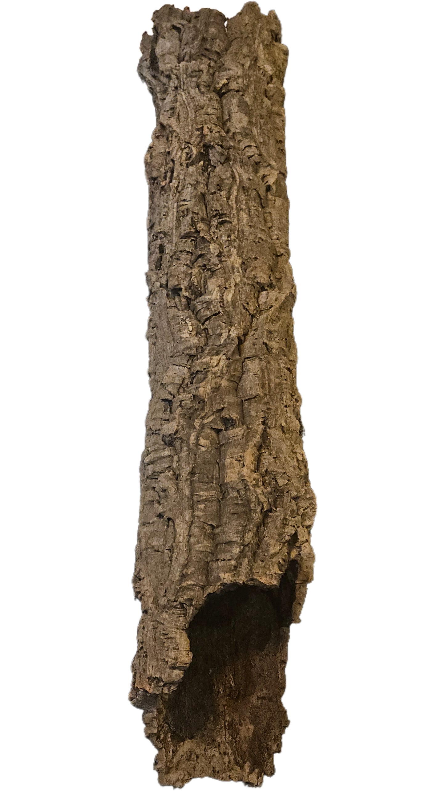 R3 Medium/Small Cork bark tube