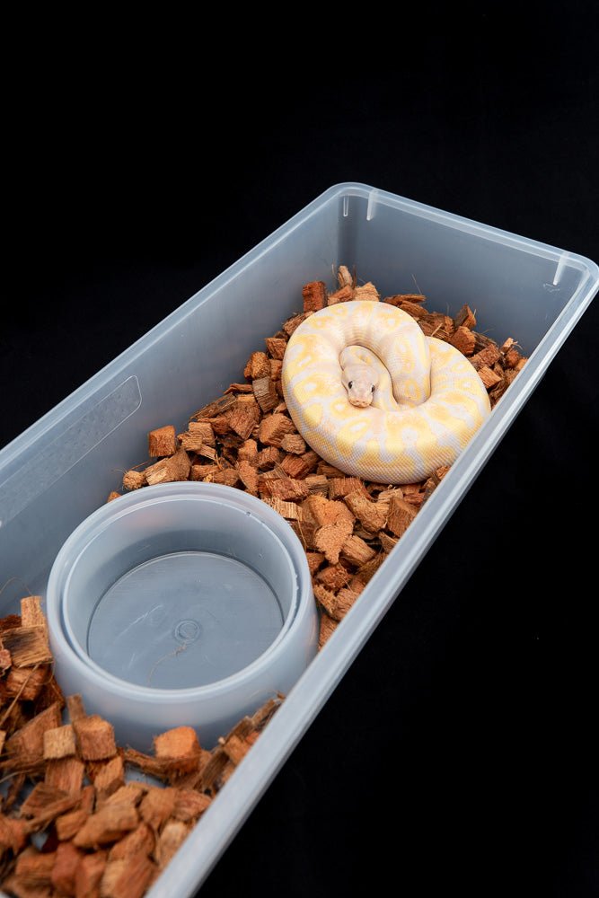 Freedom Breeder FB08 Tub