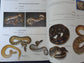 Python Regius- Atlas of Colour Morphs Keeping and Breeding (Signed by author)